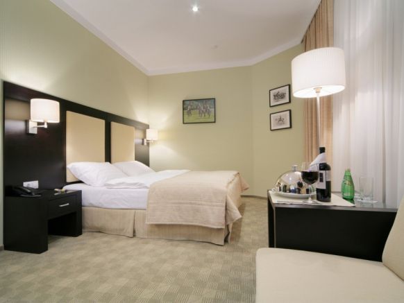 Фотография номера гостиницы Сенатор