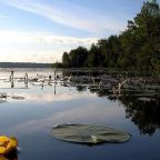 Номер (Коттедж), Отель Полуостров на Селигере