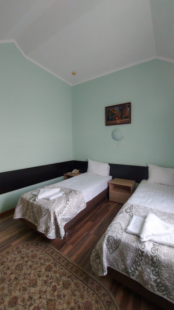 Двухместный (Стандарт с двумя раздельными кроватями), Гостиница Континенталь