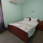 Двухместный (Стандарт c одной двуспальной кроватью), Гостиница Континенталь