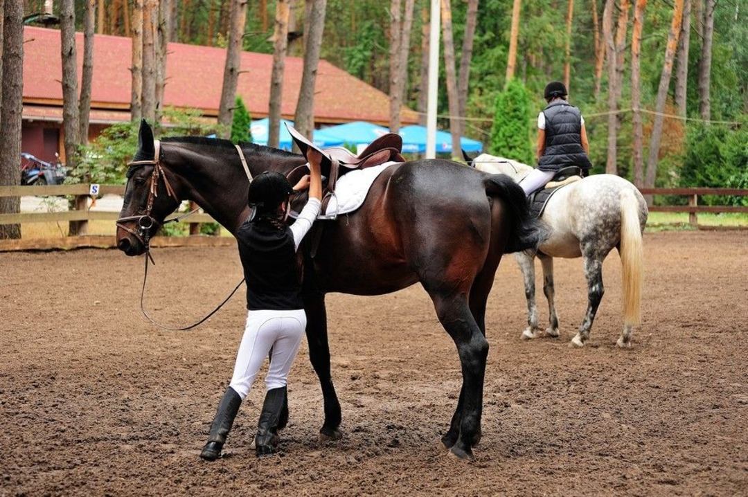 Услуги конно-спортивной школы, Гостиница Загородная Резиденция Бор