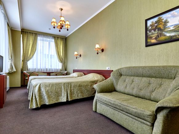 Фотография номера гостиницы Партнер