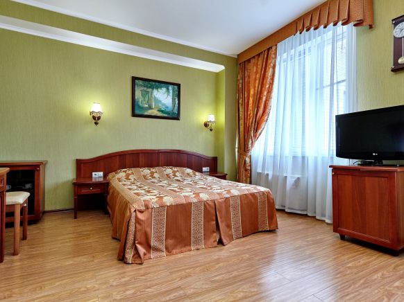 Фотография номера гостиницы Партнер