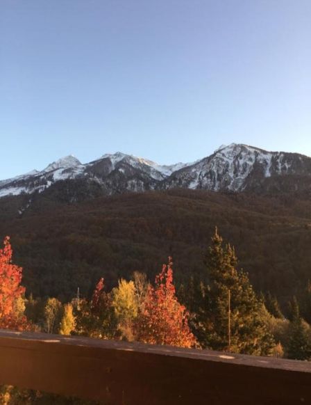 Апартаменты Лили