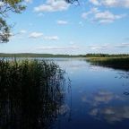 Номер (Дом для отпуска), Гостевой дом Мироново