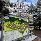 Крытый бассейн и джакузи с хаммам.