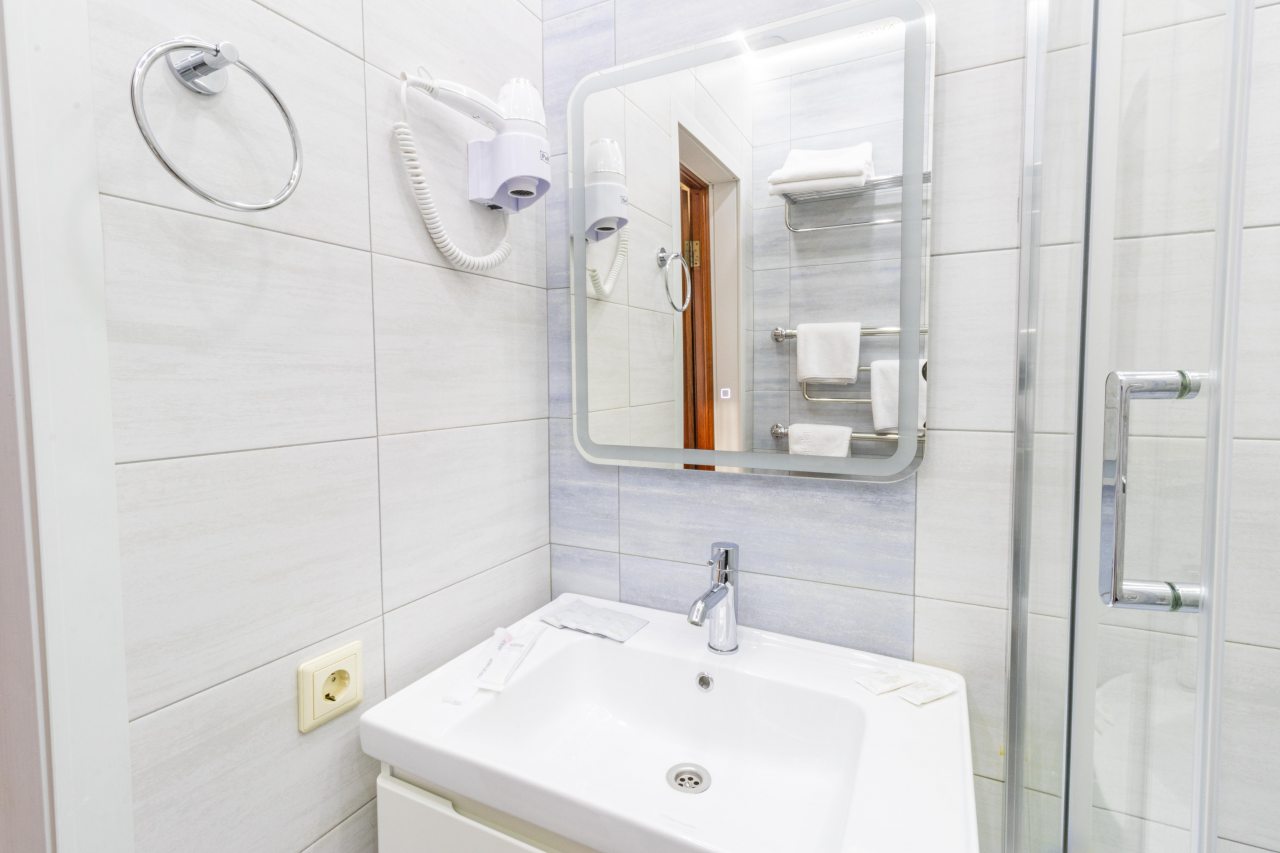 Двухместный (Евростандарт с двуспальной кроватью), Отель Серебряный век