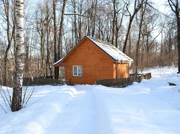 Фотография номера гостиницы Серебряный век
