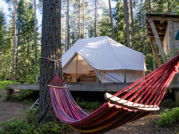 Фотография номера базы отдыха Шишки на Лампушке