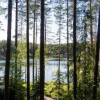 Шале (Глэмпинг с видом на лес), База отдыха Шишки на Лампушке