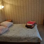 Двухместный номер с 1 кроватью в гостинице «Белые ночи», Санкт-Петербург