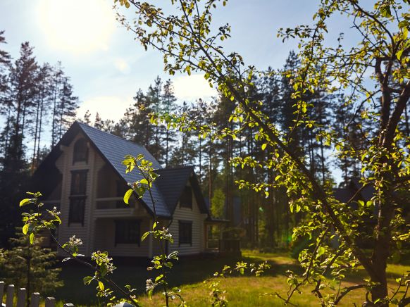 Фотография номера гостевого дома Царство Королевство