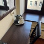 Двухместный (Комфорт с 2 односпальными кроватями), Мини-отель Алегрия