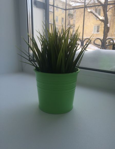 Фотография номера мини отеля Спи Здесь