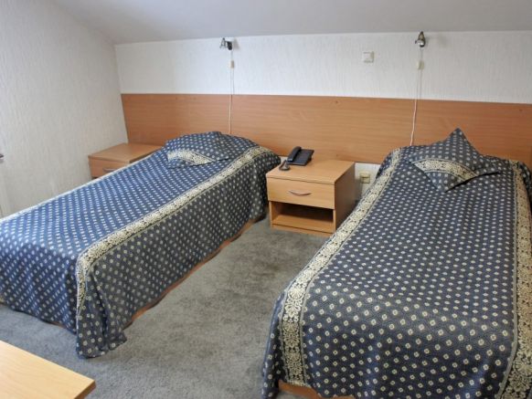 Фотография номера гостиницы Алтек