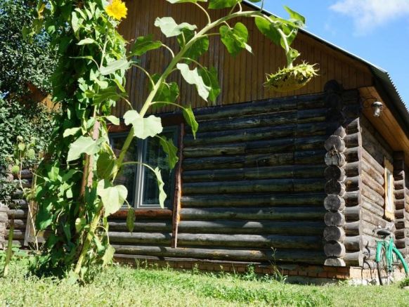 Фотография номера гостевого дома Литейщика Никуличева