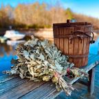 Веники для бани