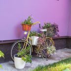 Сад, Парк Отель