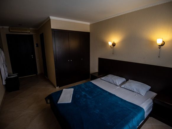 Фотография номера гостиницы Дюма