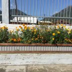 Парковка, Гостиница Иркут