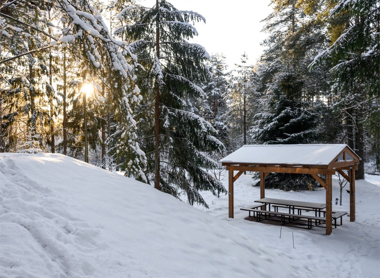 Коттедж (Шестиместный 