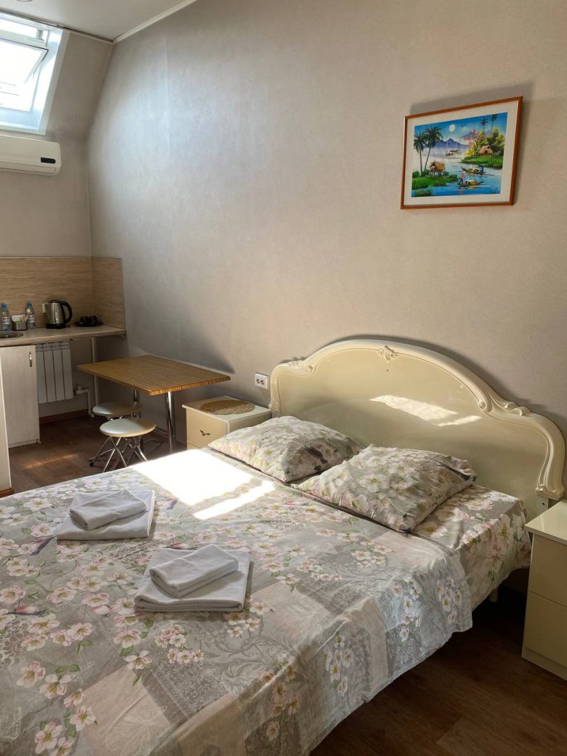 Двухместный (Двухместный номер с 1 кроватью и собственной ванной комнатой) гостевого дома Кристина и Карина, Барнаул