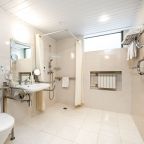 Двухместный (Стандарт для людей с ограниченными возможностями), Отель Москва