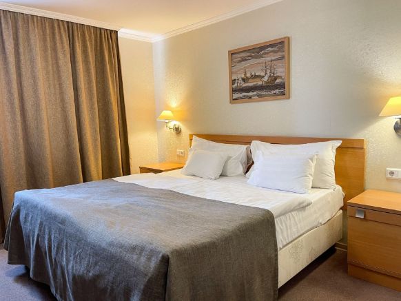 Фотография номера гостиницы Москва