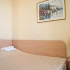 Стандартный двухместный номер с 1 кроватью в отеле «Академия», Санкт-Петербург