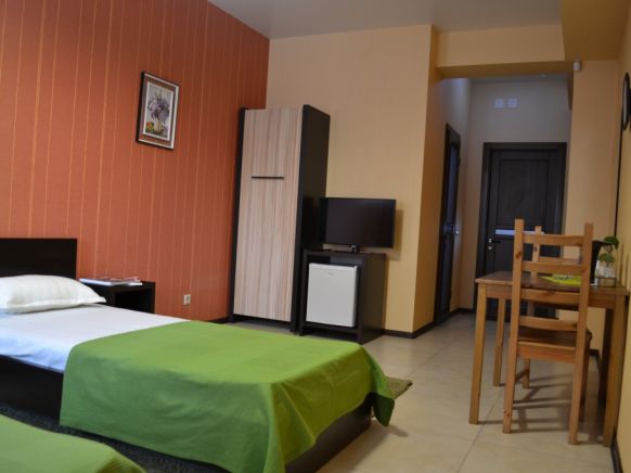 Фотография номера гостиницы Грин