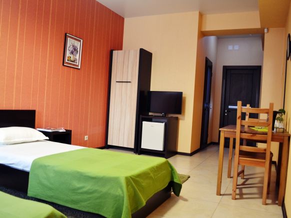 Фотография номера гостиницы Грин