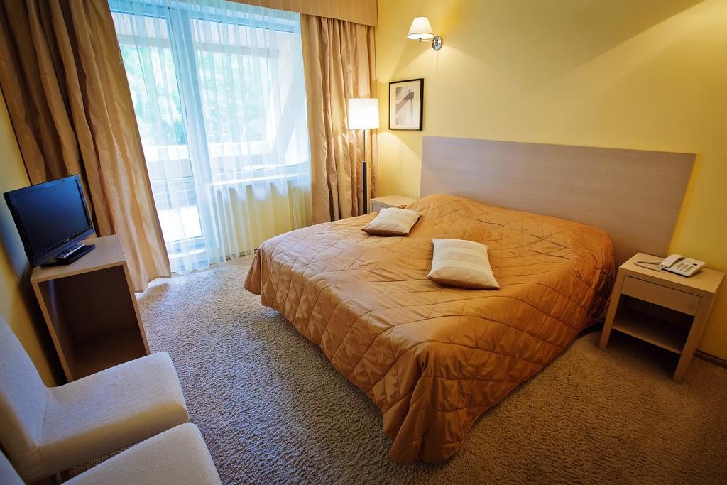 Двухместный (Стандартный двухместный номер с 1 кроватью или 2 отдельными кроватями) отеля Русь, Светлогорск
