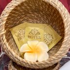 Гидромассажная ванна/джакузи, Апартаменты Премьера на Невском