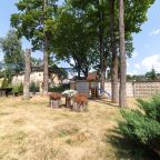 Своя ухоженная территория, Гостиница Каркушин Дом