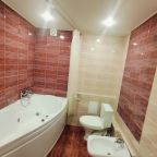 Двухместный (Комфорт с 1 кроватью), Отель Вязьма
