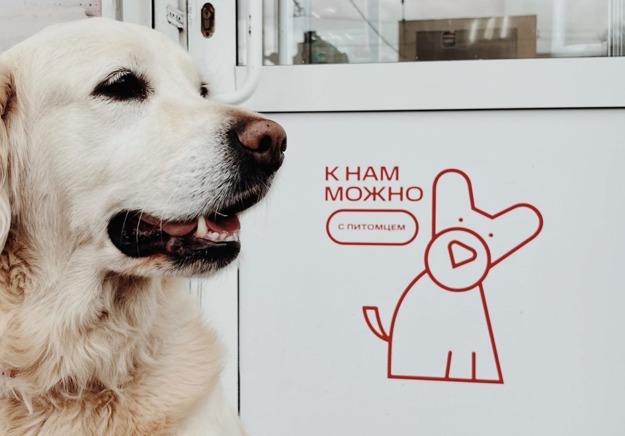 Допускается размещение домашних животных, Отель Фаворит