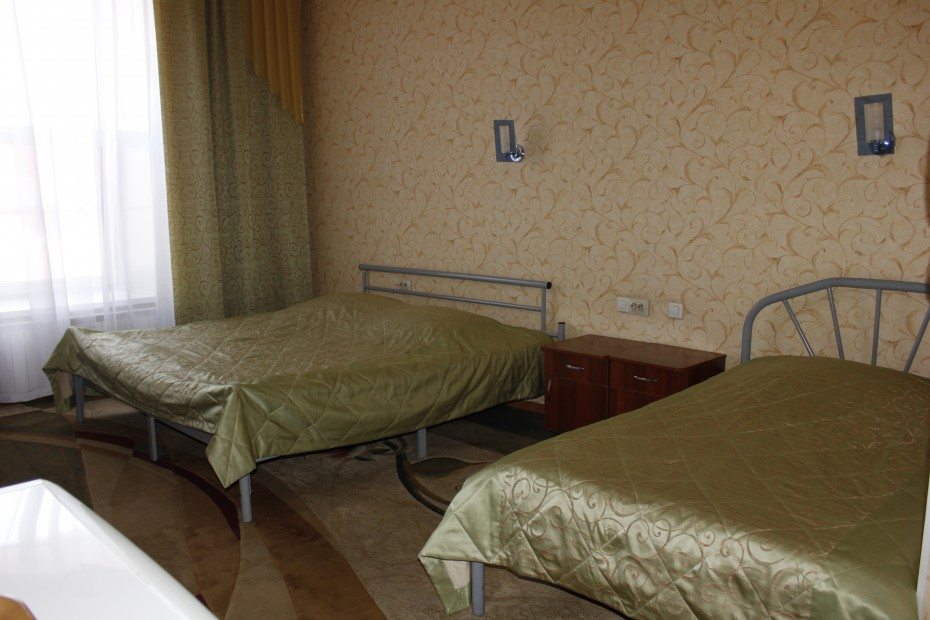 Двухместный (Бизнес двухместный) гостиницы Лалетин, Барнаул