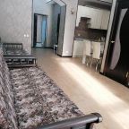 Апартаменты (Апартаменты с видом на горы), Apartment Vershyna 401