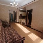 Апартаменты (Апартаменты с видом на горы), Apartment Vershyna 401