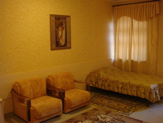 Полулюкс (Номер № 204, 205, 208, 306, 307-309, 317-320) гостиницы Виктория, Барнаул