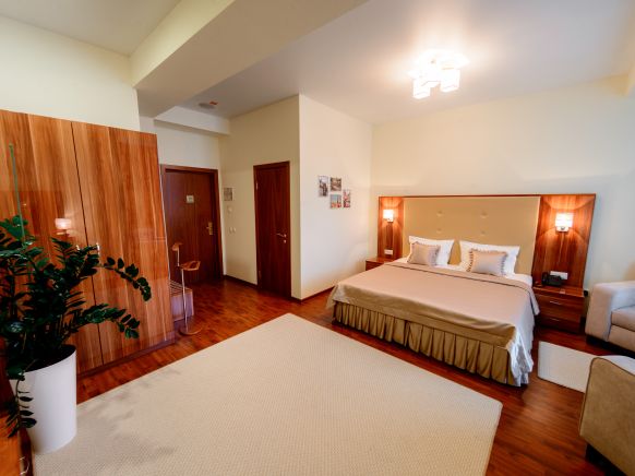 Фотография номера гостиницы Метрополис