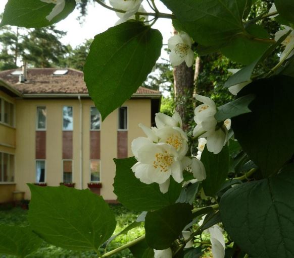 Гостевой дом На Королева, Раменское