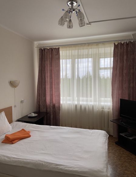 Фотография номера гостиницы Аэропорт