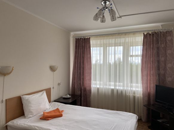 Фотография номера гостиницы Аэропорт