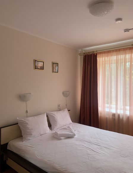 Фотография номера гостиницы Аэропорт