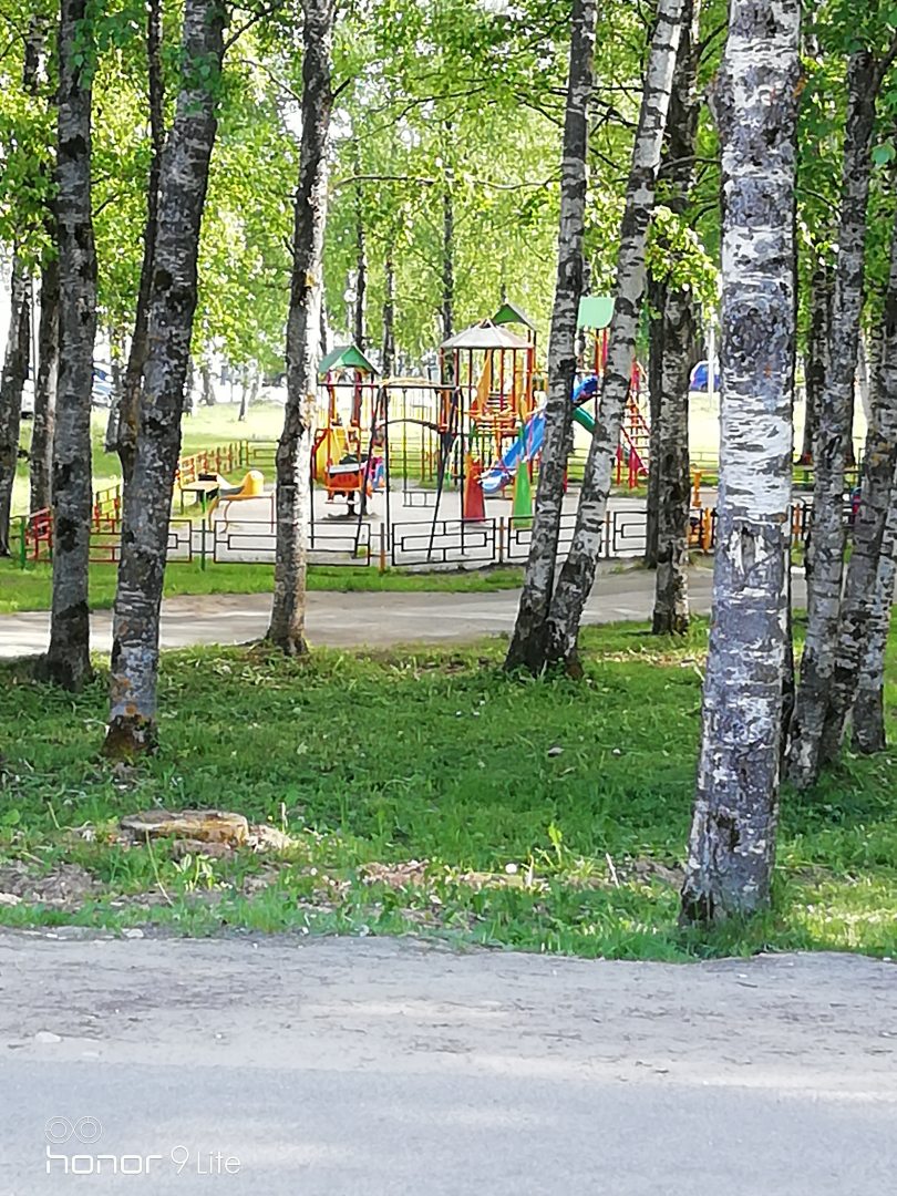 Детская игровая площадка, Гостевой дом Луманская Заводь