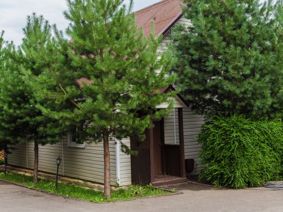 Фотография номера гостиницы Volkoff-Sky