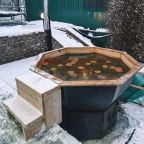 Сибирский чан