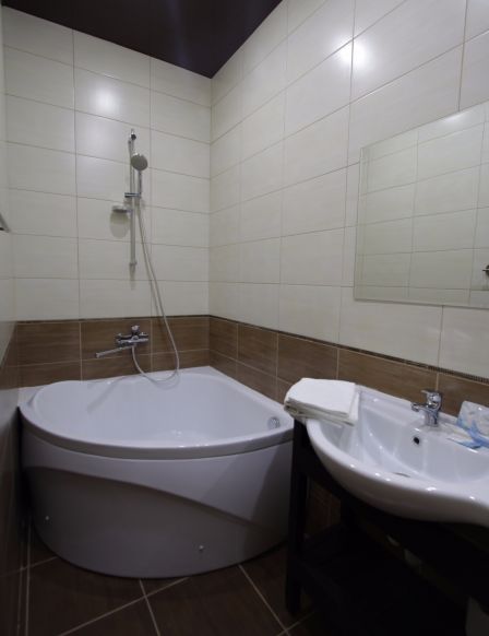 Фотография номера гостиницы Carlson Hotel