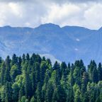 Объект находится в горах, Ays Let it Snow Hotel Rosa Khutor